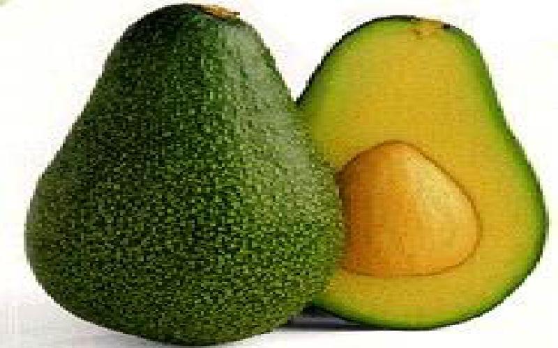 5 Best Avocado Hair Masks for Smooth and Shiny Hair