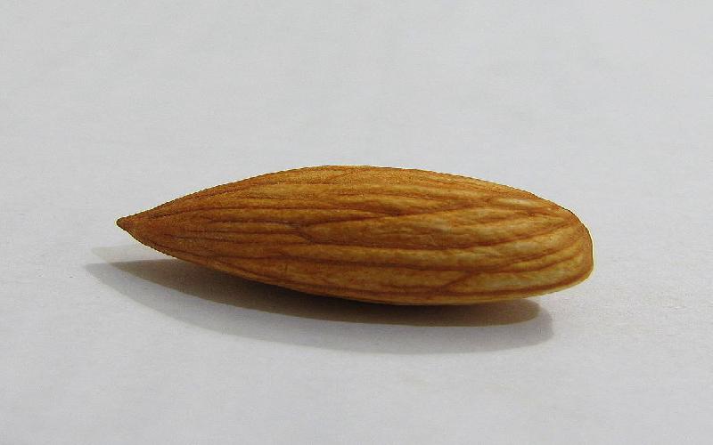 14 Almond / Badam and Almond Oil Beauty Benefits, Uses for Skin and Hair