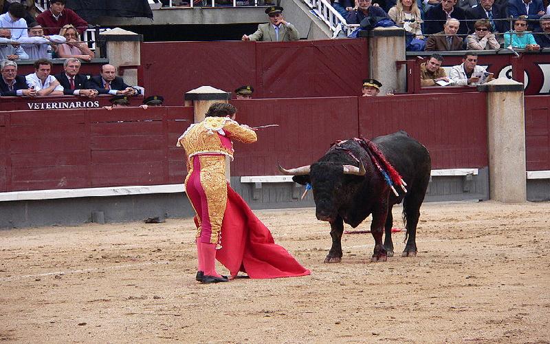 Bullfighting is back in Bogota( Columbia) and Catalina( Spain)