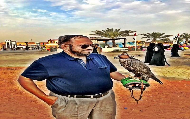 The Falcon is a Greatly Loved Bird in the UAE