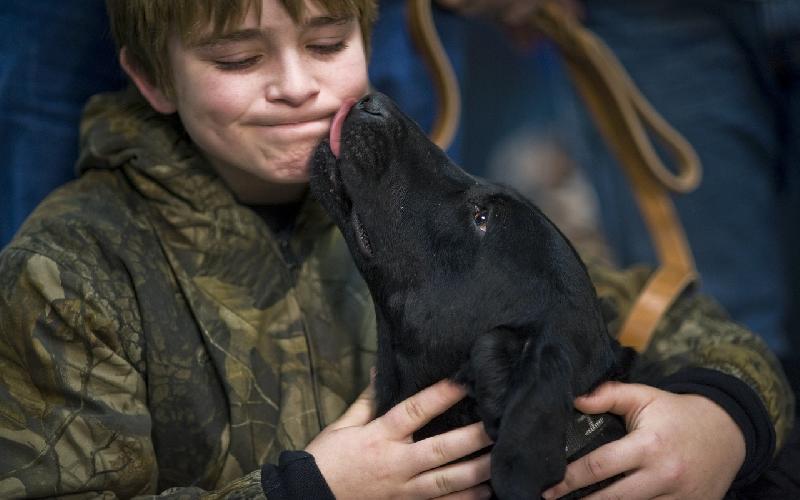 The Truth about Why Dogs Lick People