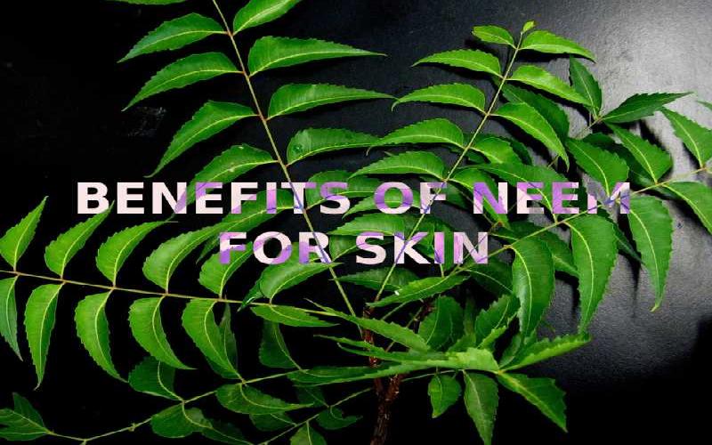 10 Important Benefits of Neem for Skin