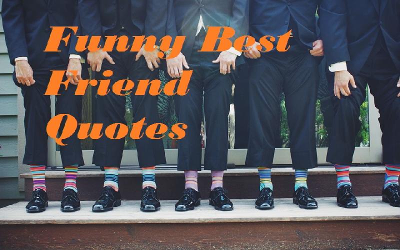 Funny Best Friend Quotes