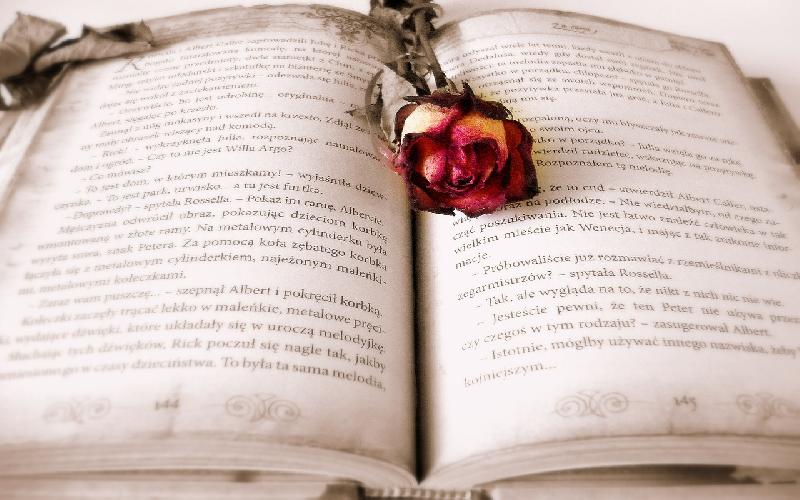 5 Best Romantic Indian Novels to Read