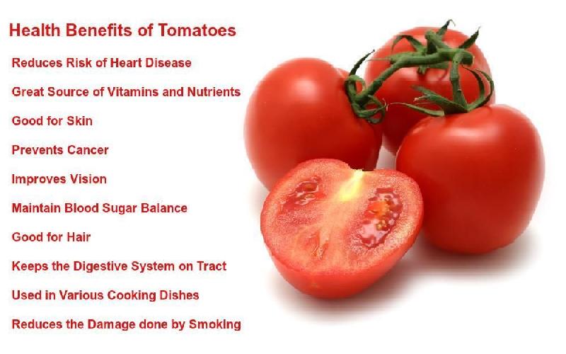 Tomato Health Benefits; 10 Benefits That Eating Tomatoes Provide for Our Health