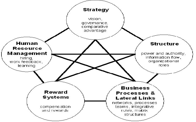 Understanding Corporate Performance Management 